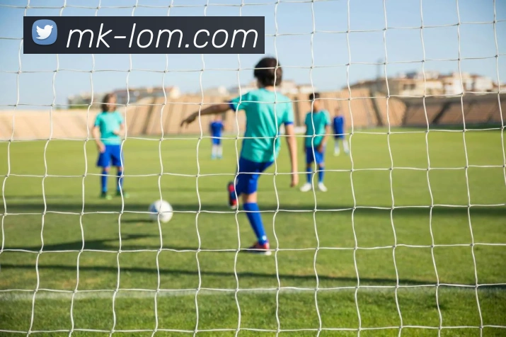 开云APP 体育赛事宣传图